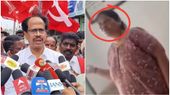 தாராபுரம் இடைத்தேர்தல் சூழலிலும் சத்தியபாமா உண்மையை பேசி இருக்காங்க.. வீடியோ பற்றி வீரபாண்டியன்!