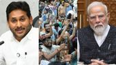 కాక్రోచ్ లకు మద్దతుగా వైఎస్సార్సీపీ..! కేంద్రం తీరును తప్పుబడుతూ..!