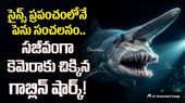 డైనోసార్ల కాలం నాటి వింత జీవి.. సముద్ర గర్భంలో అరుదైన రహస్యం!