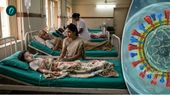 H1N1: దేశంలో మళ్లీ స్వైన్ ఫ్లూ పంజా! జేపీ నడ్డా అత్యవసర సమీక్ష