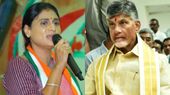 వెలిగొండ ప్రాజెక్ట్ పై చంద్రబాబు డబ్బాకొట్టడం ఈ శతాబ్దపు అతిపెద్ద జోక్ : వైఎస్ షర్మిల!