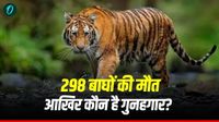 महाराष्&zwj;ट्र में 12 साल में 298 बाघों की हुई मौत, कोर्ट ने लगाई फटकार, आखिर कौन है गुनहगार?