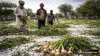 यह पढ़ें:Rajasthan Weather: ओले और बारिश को लेकर IMD का अलर्ट, लहसुन और गेहूं की फसल तबाह