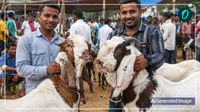 Bakrid 2026: 15 हजार से 2 लाख तक के बकरे! पटना की मंडी में 'धुरंधर' के सामने फीके पड़े 'सल्लू', 'शाहरुख'