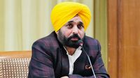 पंजाब की सड़कों पर अब नहीं रहेगा आवारा कुत्तों का खौफ! CM भगवंत मान का ऐलान, SC के आदेश के बाद क्या बदलेगा?