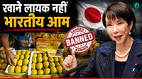 Indian Mangoes Ban In Japan: संकट में अल्फांसो-केसर आम, जापान ने लगाया बैन, 20 साल बाद क्वालिटी पर उठे सवाल 