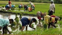 महाराष्ट्र के अन्नदाताओं के लिए बड़ी सौगात! फडणवीस सरकार ने 2 लाख रुपये तक का किसानों का कर्ज किया माफ
