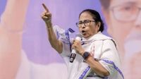'TMC Already Winning': Mamata Banerjee Reacts To Record Turnout In Bengal Phase 1 Polls