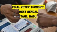 Final Voter Turnout: West Bengal Hits 92.03%, Tamil Nadu Registers 84.87% in High-Stakes Polls