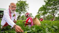 PM Modi Plucks Tea Leaves in Assam, Joins Workers Ahead of Poll Rallies PM Modi Plucks Tea Leaves in Assam, Joins Workers Ahead of Poll Rallies