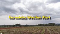Bengaluru Weather: 25% Thunderstorms Chances As Karnataka Sees Intense Pre-Monsoon Weather Activity Bengaluru Weather: 25% Thunderstorms Chances As Karnataka Sees Intense Pre-Monsoon Weather Activity