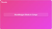 Bundibugyo Ebola outbreak in Congo: WHO emergency declared as deaths pass 100 Bundibugyo Ebola outbreak in Congo: WHO emergency declared as deaths pass 100
