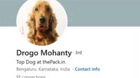ಬೆಂಗಳೂರಿನ ಶ್ವಾನಕ್ಕೂ ಬಂತು ಲಿಂಕ್ಡ್‌ಇನ್ ಅಕೌಂಟ್: 'ಟಾಪ್ ಡಾಗ್' ಪ್ರೊಫೈಲ್ ನೋಡಿ ನೆಟ್ಟಿಗರು ಫಿದಾ