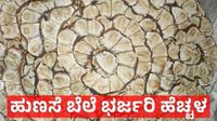 Tamarind Price Surge: ಹುಣಸೆ ಹಣ್ಣಿನ ಬೆಲೆ ಭರ್ಜರಿ ಹೆಚ್ಚಳ: ಹುಣಸೆ ಕೃಷಿಯಲ್ಲಿ ಈ 2 ಸಮಸ್ಯೆಗಳಿಂದ ಬೆಳೆಗಾರರಿಗೆ ಸಂಕಷ್ಟ