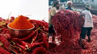 Byadgi Chilli Market: ಬ್ಯಾಡಗಿ ಮೆಣಸಿನಕಾಯಿ ಮಾರುಕಟ್ಟೆ ಮೇಲೆ ಯುದ್ಧದ ಪ್ರಭಾವ, ರಫ್ತು ಸ್ಥಗಿತ Byadgi Chilli Market: ಬ್ಯಾಡಗಿ ಮೆಣಸಿನಕಾಯಿ ಮಾರುಕಟ್ಟೆ ಮೇಲೆ ಯುದ್ಧದ ಪ್ರಭಾವ, ರಫ್ತು ಸ್ಥಗಿತ