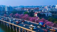 Bengaluru Infrastructure: ಬೆಂಗಳೂರಿನ ಮೂಲಸೌಕರ್ಯಕ್ಕೇ ಪ್ರತಿ ದಿನ 100 ಕೋಟಿ ರೂ. ವೆಚ್ಚ!