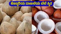 Copra Price: ತಿಪಟೂರು ಎಪಿಎಂಸಿಯಲ್ಲಿ ಕೊಬ್ಬರಿ ದರ 38000 ರೂ; ವಿವಿಧ ಮಾರುಕಟ್ಟೆಗಳ ಬೆಲೆ ಅಪ್ಡೇಟ್ಸ್‌