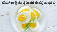 ಬೇಸಿಗೆಯಲ್ಲಿ ಮೊಟ್ಟೆ ತಿಂದರೆ ದೇಹಕ್ಕೆ ಉಷ್ಣವೇ? ದಿನಕ್ಕೆ ಎಷ್ಟು ಮೊಟ್ಟೆ ತಿನ್ನಬಹುದು? ಇಲ್ಲಿದೆ ತಜ್ಞರ ಉತ್ತರ