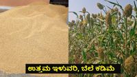 Jowar Price: ಕರ್ನಾಟಕದ ಮಾರುಕಟ್ಟೆಗಳಲ್ಲಿ ಜೋಳದ ದರ ಏರಿಳಿತ; ಇಲ್ಲಿದೆ ಜಿಲ್ಲಾವಾರು ಬೆಲೆ ಪಟ್ಟಿ