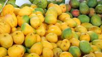Mangoes: ಮಾವಿನ ಹಣ್ಣಿನ ಸಿಹಿ ಮತ್ತು ತಾಜಾತನ ಉಳಿಸಬೇಕಾ, ಈ ವಿಧಾನಗಳು ಉಪಯುಕ್ತ Mangoes: ಮಾವಿನ ಹಣ್ಣಿನ ಸಿಹಿ ಮತ್ತು ತಾಜಾತನ ಉಳಿಸಬೇಕಾ, ಈ ವಿಧಾನಗಳು ಉಪಯುಕ್ತ