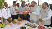 IIHR: ರೈತರಿಗೆ ಬಂಪರ್, 'ಅರ್ಕ ಜಾಮುನ್ ಪ್ರೈಡ್, ಅರ್ಕ ಶಿವ' ಹೊಸ ಹಣ್ಣು ತಳಿಗಳ ಲೋಕಾರ್ಪಣೆ