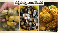 ಸಮುದ್ರದ ತೀರದ ಪ್ರೋಟೀನ್ ಗಣಿ: ಕರಾವಳಿಗರ ಅಚ್ಚುಮೆಚ್ಚಿನ ಕಪ್ಪೆಚಿಪ್ಪಿನ ಸಂಪೂರ್ಣ ಮಾಹಿತಿ ಇಲ್ಲಿದೆ