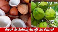 Copra Price: ಬೇಡಿಕೆ ಜೋರಿದ್ದರೂ ತಿಪಟೂರು ಕೊಬ್ಬರಿ ದರ ಕುಸಿತ; ವಿವಿಧ ಎಪಿಎಂಸಿಗಳಲ್ಲಿ ಇಂದಿನ ಬೆಲೆ ಎಷ್ಟಿದೆ? Copra Price: ಬೇಡಿಕೆ ಜೋರಿದ್ದರೂ ತಿಪಟೂರು ಕೊಬ್ಬರಿ ದರ ಕುಸಿತ; ವಿವಿಧ ಎಪಿಎಂಸಿಗಳಲ್ಲಿ ಇಂದಿನ ಬೆಲೆ ಎಷ್ಟಿದೆ?