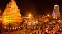 ಅತಿದೊಡ್ಡ ಹುಲಿ ಅಭಯಾರಣ್ಯದೊಳಗಿರುವ ಭಾರತದ ಏಕೈಕ ಜ್ಯೋತಿರ್ಲಿಂಗ ದೇವಾಲಯ: ಹೀಗೆ ಬಂದರೆ ದರ್ಶನ ಸುಲಭ ಅತಿದೊಡ್ಡ ಹುಲಿ ಅಭಯಾರಣ್ಯದೊಳಗಿರುವ ಭಾರತದ ಏಕೈಕ ಜ್ಯೋತಿರ್ಲಿಂಗ ದೇವಾಲಯ: ಹೀಗೆ ಬಂದರೆ ದರ್ಶನ ಸುಲಭ