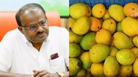 Mango: ನಷ್ಟಕ್ಕೆ ಸಿಲುಕಿರುವ ಮಾವು ಬೆಳೆಗಾರರ ರಕ್ಷಣೆಗೆ ನಿಂತ ಹೆಚ್.ಡಿ.ಕುಮಾರಸ್ವಾಮಿ: ಕೇಂದ್ರದಿಂದ ಸಿಗಲಿದ್ಯಾ ಸಿಹಿ?