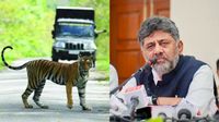 ಪ್ರವಾಸಿಗರೇ ಗಮನಿಸಿ: ಬಂಡೀಪುರ, ನಾಗರಹೊಳೆಯಲ್ಲಿ ಸಫಾರಿಗೆ ಬಂತು ಹೊಸ ರೂಲ್ಸ್