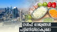 ഗള്&zwj;ഫ് രാജ്യങ്ങള്&zwj; പട്ടിണിയിലാകുമോ? ലോകം വന്&zwj; പ്രതിസന്ധിയിലേക്ക്, ഇന്ത്യയ്ക്കും തിരിച്ചടി