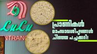 ലുലു ഹൈപ്പർമാർക്കറ്റിൽ മിന്നൽ പരിശോധന, ആട്ടയിൽ പ്രാണികൾ, പഴകിയ ഭക്ഷണം, ചീഞ്ഞ പച്ചക്കറികൾ! ലുലു ഹൈപ്പർമാർക്കറ്റിൽ മിന്നൽ പരിശോധന, ആട്ടയിൽ പ്രാണികൾ, പഴകിയ ഭക്ഷണം, ചീഞ്ഞ പച്ചക്കറികൾ!