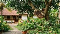 വീടിനടുത്ത് തേനീച്ചക്കൂട് കണ്ടാൽ എന്തൊക്കെ ചെയ്യണം? എന്തൊക്കെ ചെയ്യരുത്? വീടിനടുത്ത് തേനീച്ചക്കൂട് കണ്ടാൽ എന്തൊക്കെ ചെയ്യണം? എന്തൊക്കെ ചെയ്യരുത്?