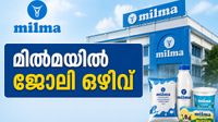 ഡിഗ്രിക്കാരാണോ? എഴുത്തുപരീക്ഷയില്ലാതെ മില്മയില് ജോലി ചെയ്യാം.. ശമ്പളം ഇത്ര ഡിഗ്രിക്കാരാണോ? എഴുത്തുപരീക്ഷയില്ലാതെ മില്മയില് ജോലി ചെയ്യാം.. ശമ്പളം ഇത്ര