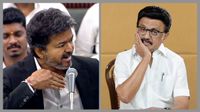 'എന്റെ ജീവിതവും പോരാട്ടങ്ങളും നിങ്ങൾക്ക് അറിയില്ല', വിജയുടെ പരിഹാസത്തിന് തിരിച്ചടിച്ച് സ്റ്റാലിൻ