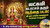 Owl: ஆந்தை படத்தை வீட்டில் வைக்கலாமா? வறுமையை விரட்டும் வாஸ்து ரகசியம் இதோ!