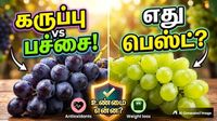 Black Grapes vs Green Grapes: கருப்பு திராட்சை Vs பச்சை திராட்சை எது பெஸ்ட்! ஏன் தெரியுமா?