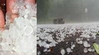 வெயிலுக்கு நடுவே.. கொட்டித்தீர்த்த ஆலங்கட்டி மழை.. திருப்பூர் மக்கள் செம குஷி! வெயிலுக்கு நடுவே.. கொட்டித்தீர்த்த ஆலங்கட்டி மழை.. திருப்பூர் மக்கள் செம குஷி!