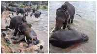 கர்நாடக யானைகள் முகாமில் நெஞ்சை உலுக்கிய சோகம்.. கணவர், குழந்தை கண் முன்னே உயிரிழந்த சென்னை பெண் கர்நாடக யானைகள் முகாமில் நெஞ்சை உலுக்கிய சோகம்.. கணவர், குழந்தை கண் முன்னே உயிரிழந்த சென்னை பெண்