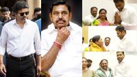 மந்தையில் இருந்து பிரிந்த 3 ஆடுகள்..நொறுங்கிய அதிமுக! இனி விஜய்க்குதான் நல்ல காலம்! எப்படி தெரியுமா? மந்தையில் இருந்து பிரிந்த 3 ஆடுகள்..நொறுங்கிய அதிமுக! இனி விஜய்க்குதான் நல்ல காலம்! எப்படி தெரியுமா?