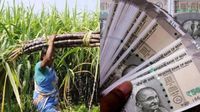 ஆன்லைன் லிஸ்ட்டில் கரும்பு அவுட்.. சிவகங்கை கூட்டுறவு வங்கி பயிர்க்கடனில் விவசாயிகள் ஷாக்! என்னாச்சு ஆன்லைன் லிஸ்ட்டில் கரும்பு அவுட்.. சிவகங்கை கூட்டுறவு வங்கி பயிர்க்கடனில் விவசாயிகள் ஷாக்! என்னாச்சு