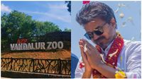 முதல்வர் விஜய் பிறந்த நாள்.. வண்டலூர் பூங்காவில் ஜூன் 21, 22-ல் அனுமதி இலவசம்.. அமைச்சர் விளக்கம் முதல்வர் விஜய் பிறந்த நாள்.. வண்டலூர் பூங்காவில் ஜூன் 21, 22-ல் அனுமதி இலவசம்.. அமைச்சர் விளக்கம்