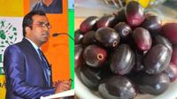Jamun fruit: நாகப்பழத்தில் பாம்பு விஷம்பட்டு சிறுவன் பலியா? உண்மை என்ன? மருத்துவர் விளக்கம்