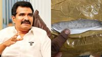 “தமிழ்நாட்டிற்கு மெத்தம்பெட்டமைன் போதைப்பொருள் வந்ததே திமுக ஆட்சியில் தான்” - சிடிஆர் நிர்மல்குமார் “தமிழ்நாட்டிற்கு மெத்தம்பெட்டமைன் போதைப்பொருள் வந்ததே திமுக ஆட்சியில் தான்” - சிடிஆர் நிர்மல்குமார்