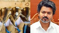 பெண்களுக்கு ஜாக்பாட்.. வெற்றி மகளிர் ஆடு வளர்ப்பு திட்டத்திற்கு ரூ.109.75 கோடி நிதி ஒதுக்கீடு!