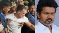 டெல்லியில் ராகுல் காந்தி கைது.. துச்சமாக கூட மதிக்காத விஜய்.. வாய் கூட திறக்கலையே! நல்ல மரியாதை! டெல்லியில் ராகுல் காந்தி கைது.. துச்சமாக கூட மதிக்காத விஜய்.. வாய் கூட திறக்கலையே! நல்ல மரியாதை!