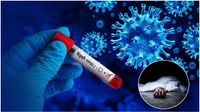 Nipah Virus : నిఫా వైరస్ తో తీవ్రంగా మరణాలు-ఐసీఎంఆర్ హెచ్చరికలు-సూచనలివే.. Nipah Virus : నిఫా వైరస్ తో తీవ్రంగా మరణాలు-ఐసీఎంఆర్ హెచ్చరికలు-సూచనలివే..