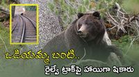 Viral Video: రైల్వే ట్రాక్&zwnj;పై హాయిగా షికారు చేసిన ఎలుగుబంటి 
