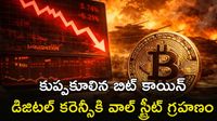 BitCoin బేజారు.. వాల్ స్ట్రీట్ పెద్దలు ఎంట్రీనే కొంప ముంచిందా?