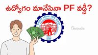 EPF 36 నెలల రూల్: ఉద్యోగులు,పెన్షనర్లకు కీలక అప్&zwnj;డేట్ 